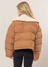 Fur Contrast Puffer Jacket